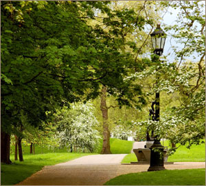 Лондонские сады и парки