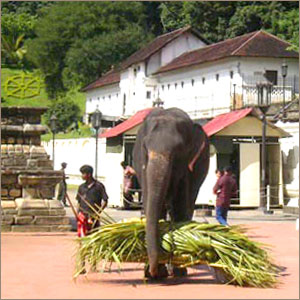 Шпм-Ланка