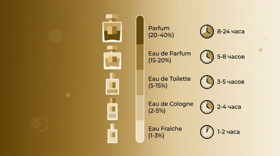 Инфографика о стойкости парфюмерных концентратов: сравнение Parfum, Eau de Parfum, Eau de Toilette, Eau de Cologne и Eau Fraîche с указанием процента ароматных масел и времени стойкости на коже