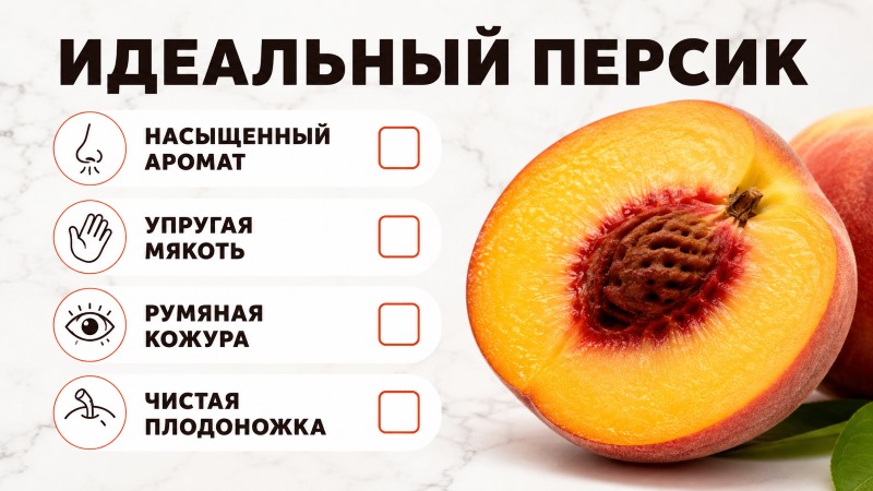 Чек-лист выбора идеального персика: аромат, мякоть, кожура и плодоножка