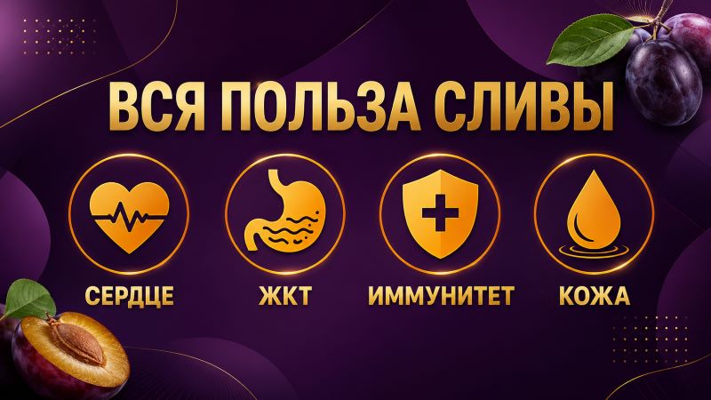 Польза сливы для сердца, ЖКТ, иммунитета и кожи