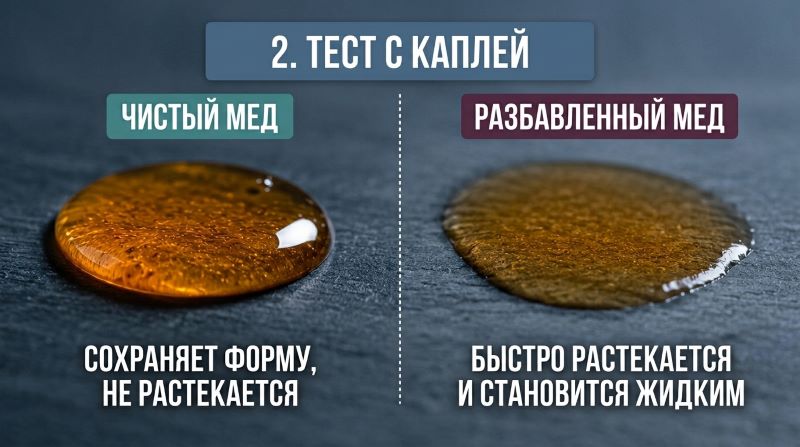 Тест с каплей: сравнение чистого и разбавленного меда на поверхности