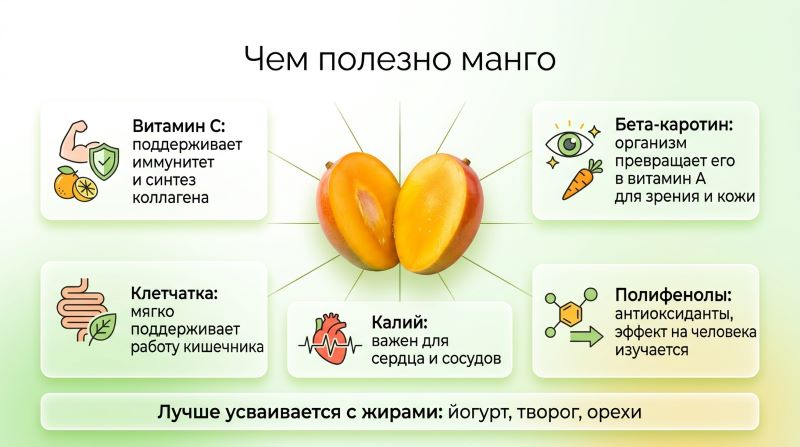 Инфографика: чем полезно манго. Витамины, клетчатка, калий и полифенолы.