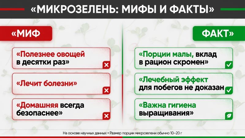 Микрозелень: мифы и факты, польза и вред ростков