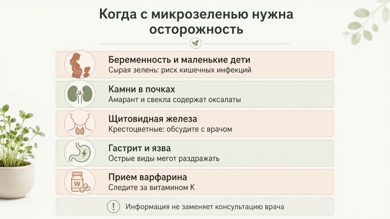 Когда микрозелень вредна: противопоказания и риски